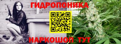 mdma Аргун
