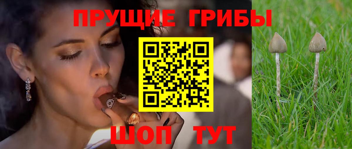 Галлюциногенные грибы ЛСД  Галлюциногенные грибы Cubensis  Вход с VPN  наркота  Воркута 